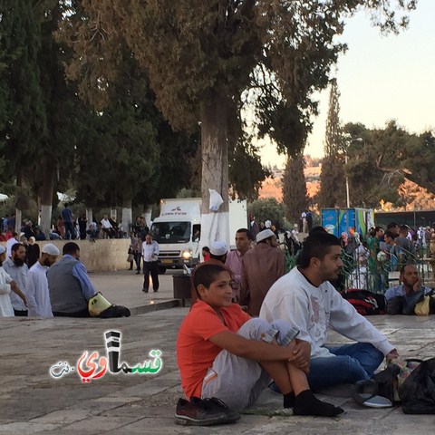 كفرقاسم : شباب كفرقاسم في رحاب المسجد الاقصى في العشر الاواخر من شهر رمضان المبارك 